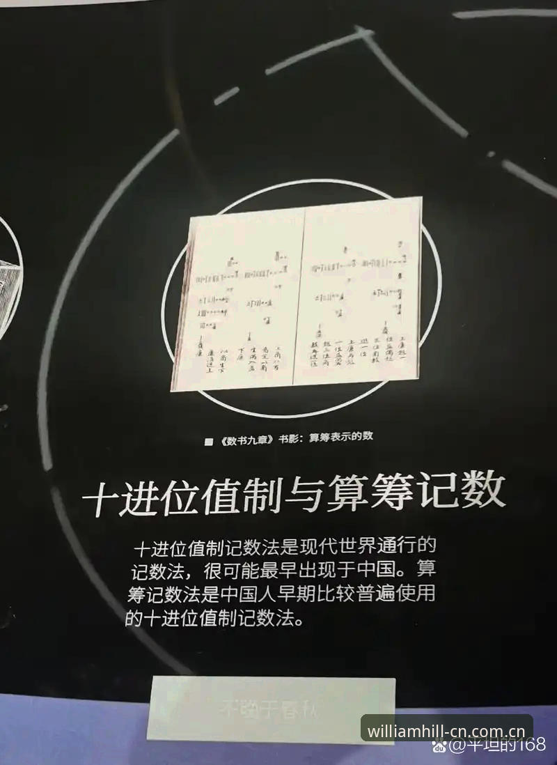 中国区威廉希尔电脑版登录 威廉希尔中国官网登录避坑指南:一份来自怀疑论者的操作手册